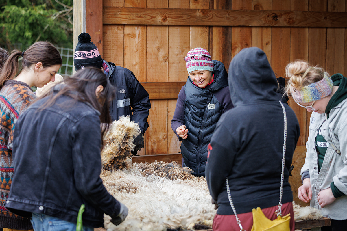 Students and Faculty processing wool