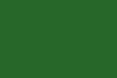 Evergreen Palette, Forest