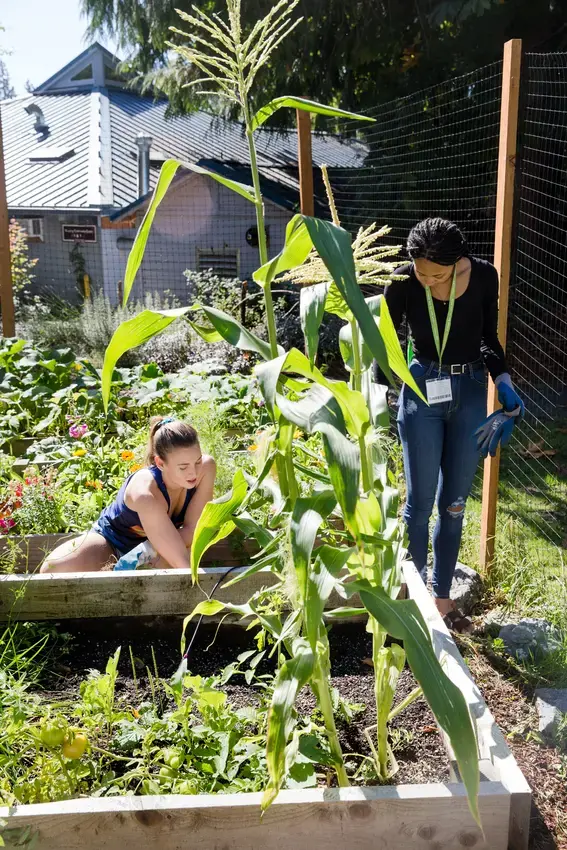 Two students work in the community garden