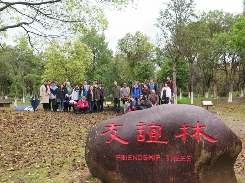 a group of students stand around a small sign in the background, the foreground there is a large rock with the inscription "Friendship Trees" in both english and chinese 