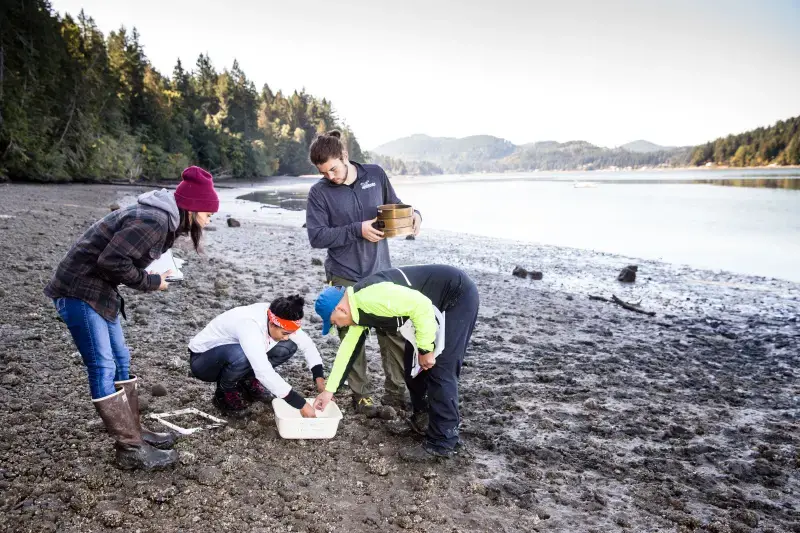 Students studying on beach