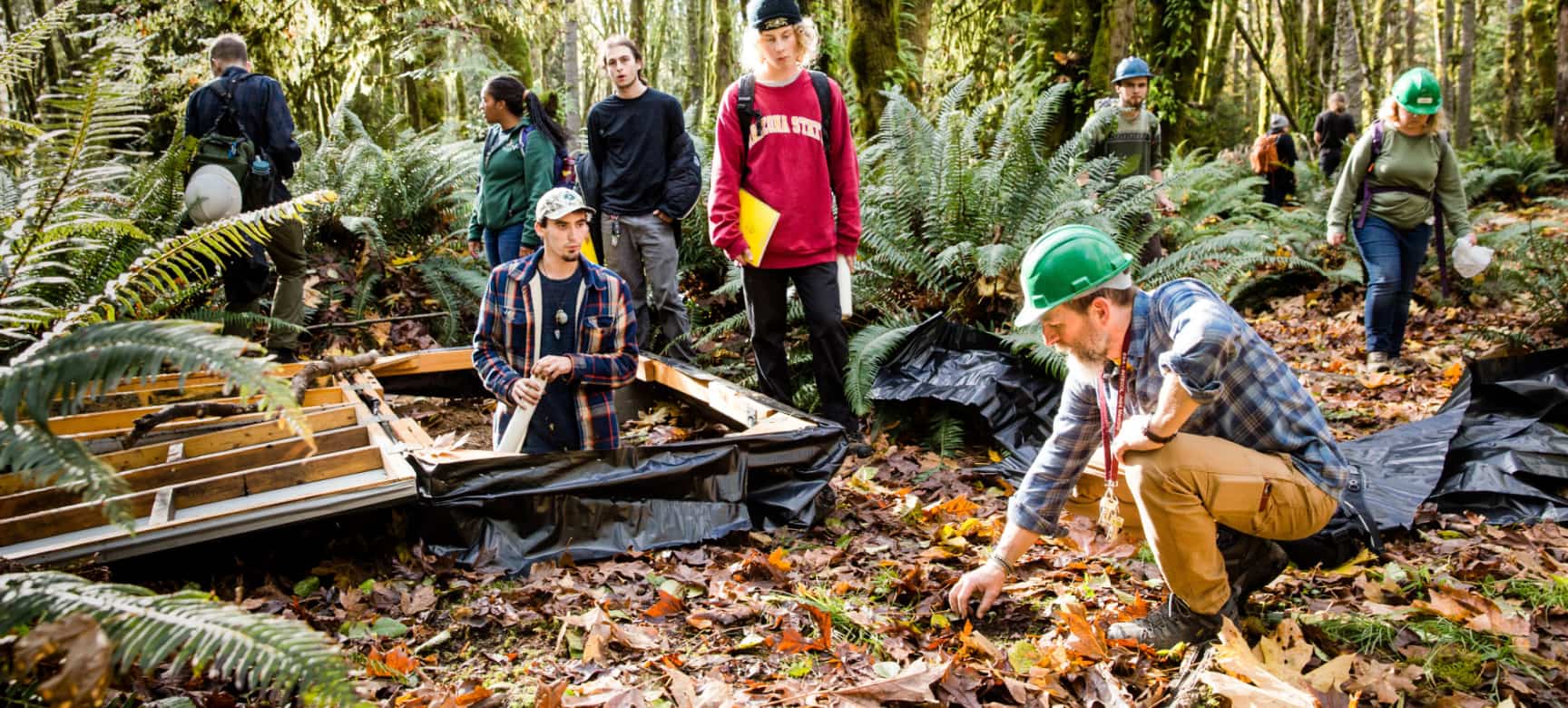 A group of male and female students stand within a forested area as their professor kneels on the ground discussing leaves and other plant life.